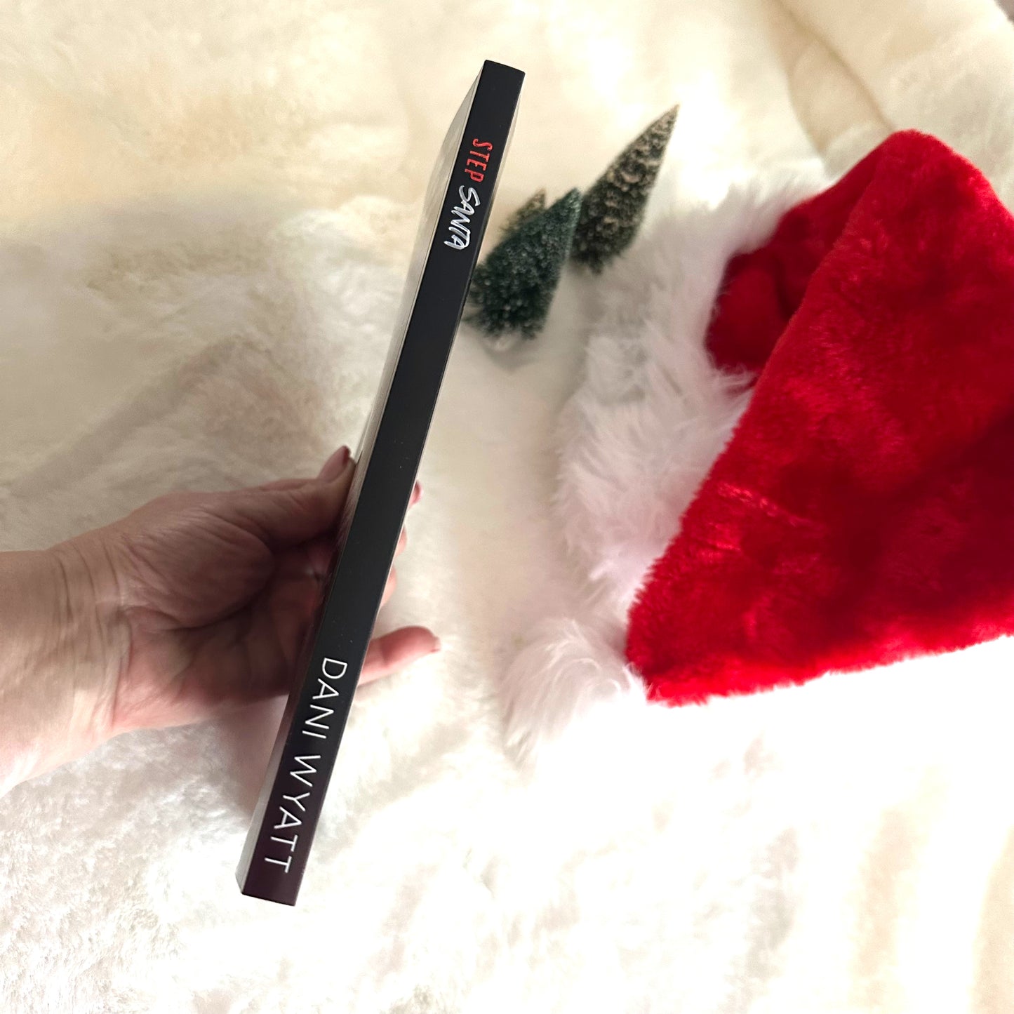 Step-Santa Special Illustrated Edition (INCLUDES Swag Pack!) (NSFW)